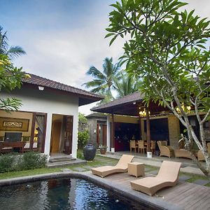 Ubud Raya Villa